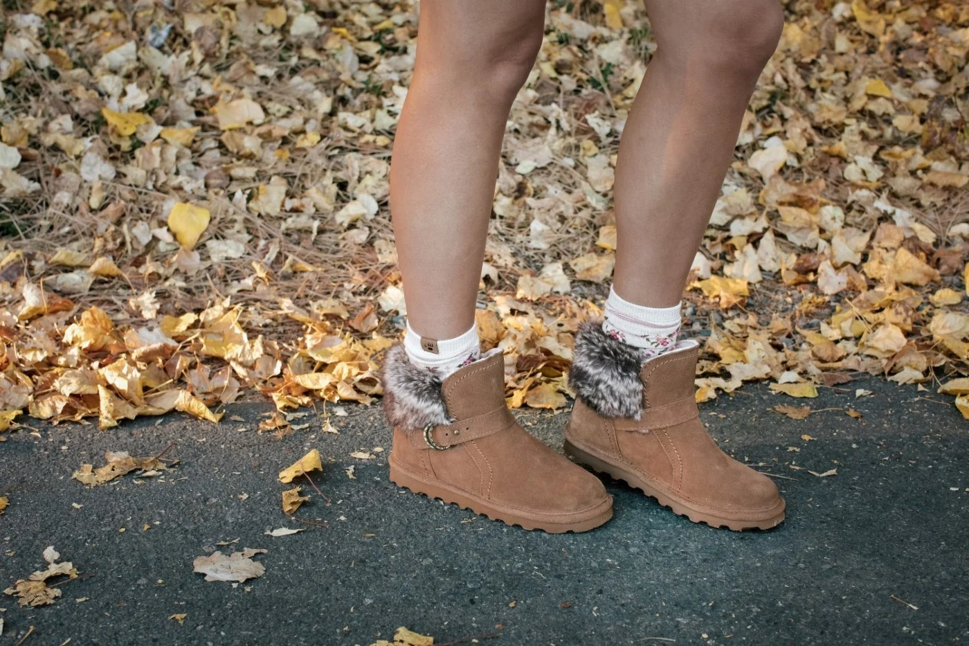 Bearpaw shop 3 Bearpaw shop -Bearpaw shop q555